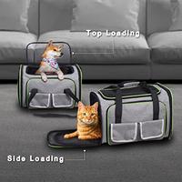 Gambar SQRTPGD Cat Carrier, TSA Airline Approved Large dari Pets USA undefined 5 Tokopedia