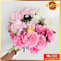 Gambar Bunga Anyelir Carnation Tipe SJ Cabang 5 Artificial Buatan Home Decor - Gold dari Peach Shop 96 undefined 2 Tokopedia