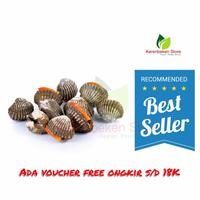 Gambar Kerang Dara Segar 500gr – Seafood Favorit untuk Rebus, Saus Padang, dan Bakar dari kerenbeken store undefined 1 Tokopedia