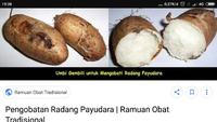 Gambar HST Ubi Gembili Atau Ubi Ubian Makanan Alami Pedesaan dari Haste store undefined 3 Tokopedia