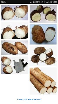 Gambar HST Ubi Gembili Atau Ubi Ubian Makanan Alami Pedesaan dari Haste store undefined 1 Tokopedia