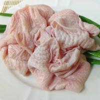 Gambar Kulit ayam bersih / chicken skin - 100 gram - 200 gr dari almaira store1_NEW undefined 2 Tokopedia