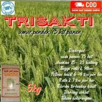 Gambar benih padi Trisakti umur genjah 75 hst 5 kg bidwgo 8927lq dari JUAKARGA undefined 2 Tokopedia