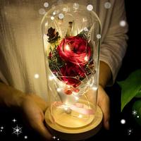 Gambar Mawar Lampu LED Dekorasi Beauty and The Beast Rose multi warna dari bedrooma undefined 4 Tokopedia