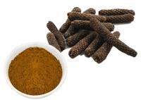 Gambar Bubuk Cabe Puyang 1Kg Cabe Jawa Piper Retrofractum Javanes Pepper Pure dari Herbal Maria undefined 4 Tokopedia