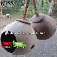 Gambar GLODOK BATOK KELAPA GANTUNG GELODOK GANTUNG dari Omah Pot Kebumen undefined 1 Tokopedia