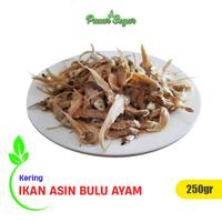 Gambar Ikan Asin Bulu Ayam 250 g dari PASAR SEGAR PASAR MINGGU undefined 1 Tokopedia