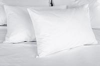 Gambar East Coast Bedding Down Pillows-Set of 2-Soft White Down(King) dari Home and Kitchen USA undefined 1 Tokopedia