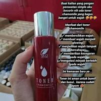 Gambar TONER WAJAH KERING SR12 DENGAN CHAMOMILLE EXTRACT AMAN UNTUK IBU HAMIL dari SiDuyeeh shop undefined 3 Tokopedia