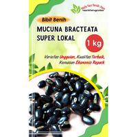 Gambar 1 kg bibit mucuna bracteata lokal super / benih tanaman cover crop dari Reniati benih mart undefined 3 Tokopedia