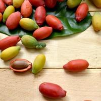 Gambar buah melinjo tangkil segar dari Masak Sayur Bandung undefined 1 Tokopedia