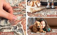 Gambar RORA Machine Washable Rugs 3x5 Rug Non-Slip dari Home and Kitchen USA undefined 1 Tokopedia