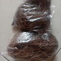 Gambar Sarang Burung Murai Batu daun Cemara murah!! dari Lutfiia undefined 2 Tokopedia