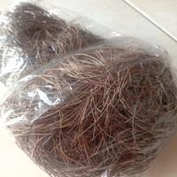 Gambar Sarang Burung Murai Batu daun Cemara murah!! dari Lutfiia undefined 3 Tokopedia