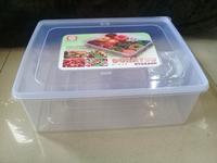 Gambar ( KHUSUS GOJEK ) Kotak Tempat Kue / Box Donat Shinpo Donatsu 306 L Besar dari perabotmampang undefined 3 Tokopedia