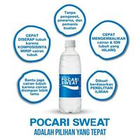 Gambar Promo Pocari Sweat 350mL 1 Karton=24pcs Berkualitas dari erlinstoree 1 undefined 4 Tokopedia