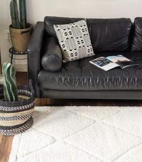 Gambar Rugs.com Lattice Shag Collection Rug4x6 Ivory Shag Rug,Ivory 1 dari Home and Kitchen USA undefined 5 Tokopedia