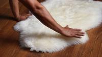 Gambar Super Area Rugs Genuine New Zealand Fluffy-Large 2 x 3 Single Pelt dari Home and Kitchen USA undefined 4 Tokopedia