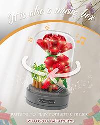 Gambar Preserved Rose Flower Bouquet Building Set with Music Box dari Home and Kitchen USA undefined 4 Tokopedia