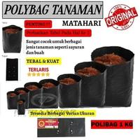 Gambar Plastik Polybag Merk Matahari 1Kg Berbagai Ukuran - Untuk Tanaman Cabe - 25x35=1kg dari Putra Mawar Farm and Fishing Store undefined 1 Tokopedia