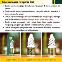 Gambar Obat Pipi Bengkak Akibat Sakit Gigi - Obat Kumur Gigi - Radang Gusi dari Milestone1187 undefined 2 Tokopedia