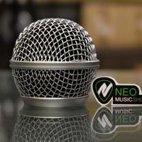 Gambar Kepala Mic Model SHURE SM58 / SHURE Beta58 Grill Mic (69) dari AleaAlishba undefined 1 Tokopedia
