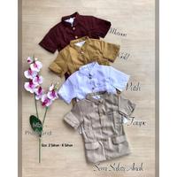 Gambar Ready Jas Anak Baju Bali Anak Kemeja Formal Safari Pakaian Adat Bali - Baju Tembaga, 3-4 tahun dari Astri indo undefined 3 Tokopedia