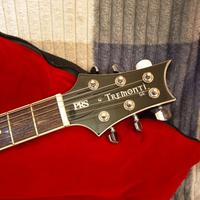 Gambar ready stock Gitar Prs Se Signature Mark Tremonti Bk dari LemahDjowo undefined 1 Tokopedia