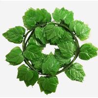 Gambar Daun Rambat Besar Anggur Sulur 2m Warna Hijau Muda Plastik Juntai - Anggur Besar H. Tua, 200cm dari Minimalis Home Tokopedia undefined 3 Tokopedia