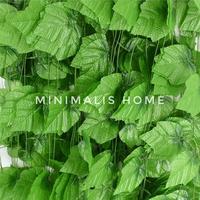Gambar Daun Rambat Besar Anggur Sulur 2m Warna Hijau Muda Plastik Juntai - Anggur Besar H. Tua, 200cm dari Minimalis Home Tokopedia undefined 1 Tokopedia