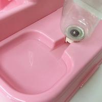 Gambar Tempat Makan Minum Hewan Anjing Kucing Automatic Pet Food Dispenser dari Produk Favorit Tokopedia undefined 3 Tokopedia