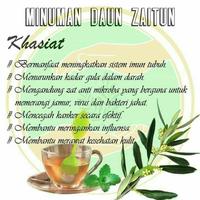 Gambar 100 gram daun zaitun kering Stok Terbatas dari NADZIRA_MART undefined 1 Tokopedia