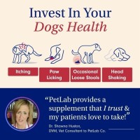 Gambar PetLab Co. Probiotics Chew - Support Healthy Gut & Digestion For Dog dari Bella Mardhiyah Shop undefined 3 Tokopedia