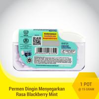 Gambar Frozz Permen Bebas Gula Rasa Mint Dingin Menyegarkan  POT - 15 gr - Barley Mint dari Babyzania_NEW undefined 3 Tokopedia