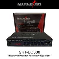 Gambar Skeleton BT Preamp Parametic Rqualizer SKT-EQ300 30OCTZ3 parts dari michael azmi undefined 2 Tokopedia