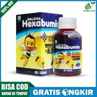 Gambar Vitamin Untuk Kecerdasan Otak Anak, Suplemen Peninggi Anak - Hexabumin dari ALTHAF_MALL undefined 1 Tokopedia