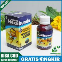 Gambar Vitamin Untuk Kecerdasan Otak Anak, Suplemen Peninggi Anak - Hexabumin dari ALTHAF_MALL undefined 2 Tokopedia