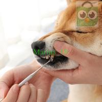 Gambar Pet Scaling Tool Stainless Alat Pembersih Karang Gigi Anjing Kucing - Perak dari Marina 18 undefined 1 Tokopedia