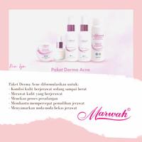 Gambar Ready PAKET DERMA ACNE SABUN 100ML FREE POUCH BLINK BLINK Quality dari hola_store06 undefined 2 Tokopedia