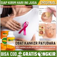 Gambar NEW Obat Tradisional Untuk Penyakit Tumor Payudara, Pengobatan Alami dari Romantika storee undefined 1 Tokopedia