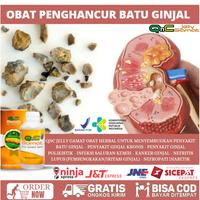 Gambar NEW Obat Tradisional Alami Untuk Penyakit Ginjal Akut - Penghancur dari Romantika storee undefined 1 Tokopedia