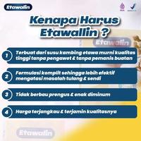 Gambar Etawalin Paket 3 Box - Atasi Nyeri Sendi Asam Urat Original bermutu dari Hello Milky's undefined 2 Tokopedia