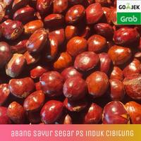 Gambar jengkol tua super 1 kg dari rafiabiyyu undefined 4 Tokopedia