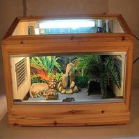 Gambar 3 Sizes Reptile Carpet,Terrarium Bedding Substrate Liner dari Redmart Goods Store undefined 3 Tokopedia
