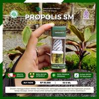 Gambar Obat Pipi Bengkak Akibat Sakit Gigi - Obat Kumur Gigi - Radang Gusi dari putriayu, store undefined 1 Tokopedia