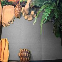 Gambar 3 Sizes Reptile Carpet,Terrarium Bedding Substrate Liner dari Redmart Goods Store undefined 2 Tokopedia