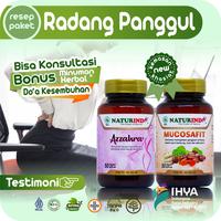 Gambar Obat tradisional Radang Panggul Infeksi Serviks Infeksi Rahim Infeksi dari nardchat undefined 1 Tokopedia