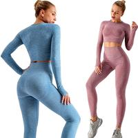 Gambar Seamless Yoga Set Sports 2 Piece Set Women Clothing Long Sleeve Gym dari grosirkainlaptebal undefined 5 Tokopedia