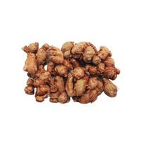 Gambar KENCUR SEGAR 250-260 GRAM dari Hypermart Gorontalo undefined 1 Tokopedia