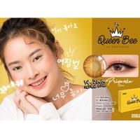 Gambar Softlens Queen Bee By Exoticon - Normal Only dari zamrawastore undefined 3 Tokopedia